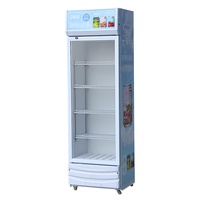 Réfrigérateur commercial à refroidissement direct par air, 318L, pour fruits et légumes, avec porte vitrée, réfrigérateur vertical