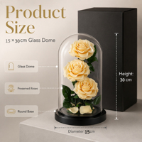 Vente en gros de roses éternelles Beauty Beast Prince 15*30cm, rose préservée dans un coffret cadeau en verre pour petite amie - Saint-Valentin, Noël