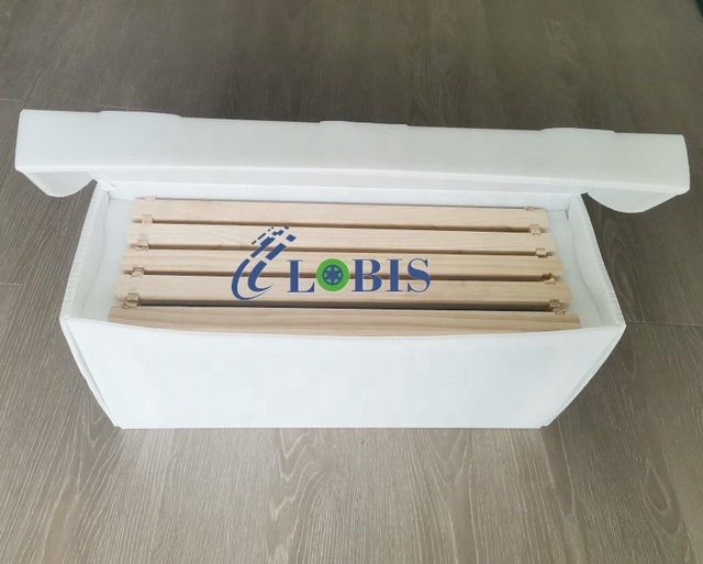 5 Frame 4mm Thick Plastic Foldable Nuc Beehive Box with Cutting Service for Beekeeping