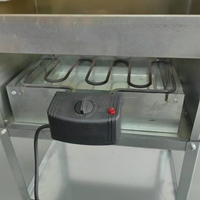 Four de durcissement au four fumé de poisson à saucisse domestique à coût élevé/petite machine à fumer de la viande