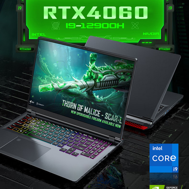 Factory Wholesale Gaming Laptops RTX 4060 I7-13620H I9-12900H RTX 4060 8GB Notebook Gaming PC