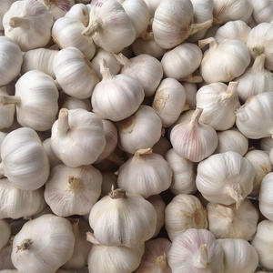 Satılık hint büyük boy 4cm 5cm 6cm 7cm taze Normal beyaz sarımsak - Product Image 1