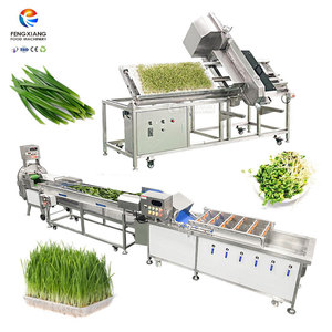 Ligne de traitement commerciale pour feuilles de pandan, herbe de blé et pousses de haricot, machine de lavage et de découpe du blé - Product Image 1