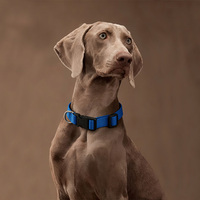 Collier pour chien en nylon réglable et personnalisable, style moderne, doux, avec logo personnalisé – Accessoires pour chien à motif uni moderne