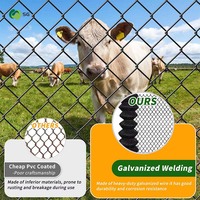 Malla de Alambre Galvanizada de Acero de Bajo Carbono de Alta Resistencia a la Corrosión para Cercas Decorativas de Ranchos y Protección de Ciervos