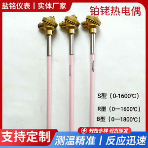 Salt Inscription Thermocouple WRP-130 Type S R B Platinum Rhodium High Temperature Resistance 0-1800 Celsius - Product Image 5