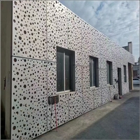 Panel de Fachada Perforado Decorativo de Aluminio Personalizado para Revestimiento Exterior de Edificios de Oficinas