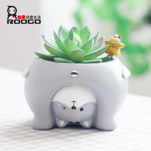 <span class=keywords><strong>Pot</strong></span> de plante succulente d'intérieur en résine Roogo, <span class=keywords><strong>pot</strong></span> à fleurs en forme de cochon coupé - Product Image 1
