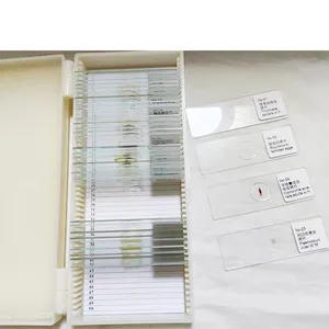 개별 슬라이드 <span class=keywords><strong>Ascaris</strong></span> lumbricoides 계란 기생충 준비 슬라이드 - Product Image 1