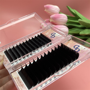 Pestañas Postizas Coreanas Dragon Lash, Color Negro Mate, PBT, 0.03/0.05/0.07mm, Efecto Volumen Natural, Hechas a Mano, Curvatura J B C CC D M L - Product Image 1