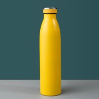 Bouteille thermos de sport isolée sous vide à double paroi en acier inoxydable 500ml 304 Échantillon personnalisable portable écologique disponible
