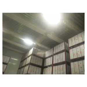 Commercial fabricated refrigerator and cold freezers room storage units walk in freezer for sale