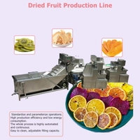 Automatische Gedroogde Groenten En Fruit Productielijn Gedehydrateerde Droge Vruchten Groenten Snijmachine Drogen Verwerking Machine