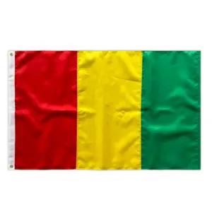 Fábrica profesional impermeable empalme personalizado al aire libre poliéster Guinea bandera nacional para deportes y juegos