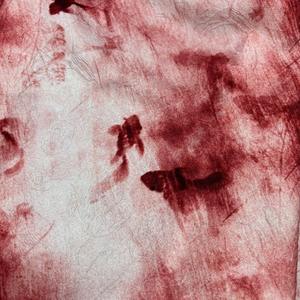 Pabrik kain di Cina musim gugur dan musim dingin gaya Cina jacquard tenun digital pencetakan kostum kinerja cheongsam <span class=keywords><strong>dr</strong></span> - Product Image 1