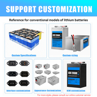 48V 100Ah 200Ah Lithium Ion Battery Pack Electric Motorcycle Tricycle Deep Cycle Built in BMS OEM Custom Factory Golf Cart RV