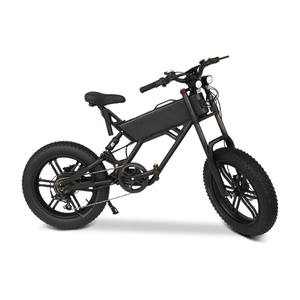 Vélo de montagne électrique à vitesse variable KAMAS, nouvelle version, robuste, double transmission, neige, 750W, 40-60 km/h, pour homme - Product Image 6