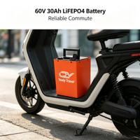 Sepeda Listrik Baterai Lithium Iron Phosphate 60V 30Ah LiFePO4 Siklus Dalam Arus Konstan Output Tinggi Paket Tahan Lama