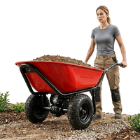 Brouette électrique TAYO EWD260, seau de 100L, moteur 350W, charge utile de 260kg, double roues, plateau en plastique, usage intensif pour la construction