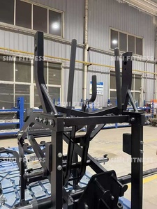 SM Machine à <span class=keywords><strong>Squat</strong></span> à Cinture à Charge par Plaques de Haute Qualité pour Salle de Sport Commerciale, Grande Capacité de Charge, pour l'Entraînement des Quadricipèdes, des Fessiers et des Ischio-jambiers, Style LB <span class=keywords><strong>Hammer</strong></span> - Product Image 2
