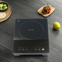Mini cuisinière à induction portable intelligente, plaque de cuisson électrique à écran tactile pour usage domestique, fabriquée en plastique durable