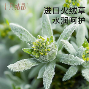 October Crystal Four Leaf Starlight <b>Childrens</b> <b>Bath</b> Wash 300ml For Kids Age 3 Years Plus Gentle Formula - Product Image 2