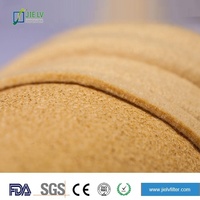 Sac filtrant à poussière PPS pour collecteur de poussière à poches pour gaz de combustion de chaudière industrielle