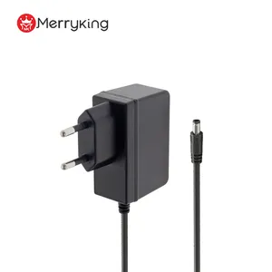 Input: AC 100-240V 50/60Hz Output: DC 5V 0.5A 5V 12V 24V 500mA 1000mA Charging Power Adapter