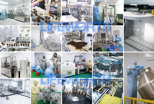 Lifeworth Hàn Quốc Panax đỏ nhân sâm chiết xuất từ rễ Viên nang bổ sung năng lượng cho hiệu suất cao nhất tập trung & sức sống thuần chay không biến đổi gen - Product Image 5