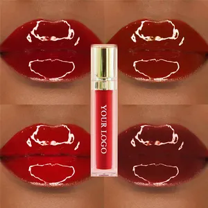 Nuovo lip gloss vegan crudeltà trasporto nude shimmer lip trucco di bellezza private label 47 colori umido lucido lip gloss