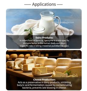 مسحوق إنزيم الليزوزيم من الدرجة الغذائية ≥ 20000 u/ملغ: إنزيم مضاد للميكروبات واسع الطيف لحفظ الطعام - Product Image 2