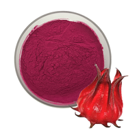 Extrait de fleur d'hibiscus Anthocyanidines Roselle Extrait Roselle Poudre Poudre de fleur d'hibiscus