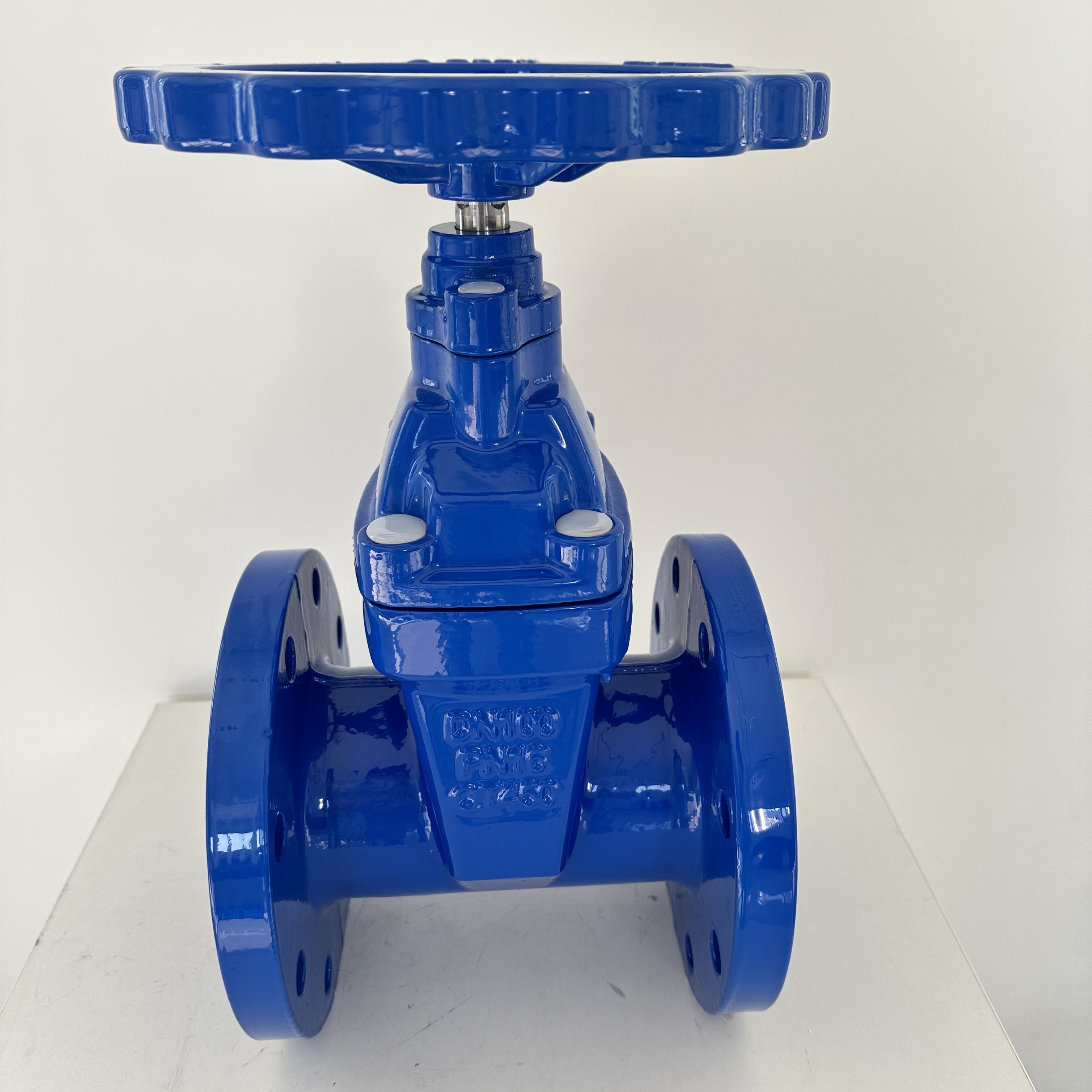Gate Valve 100mm Dia