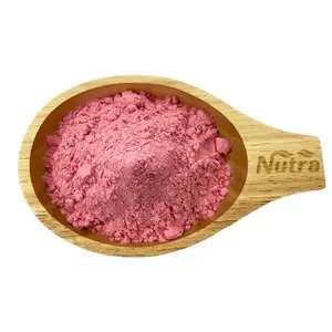 Natural Organic Freeze-dried Watermelon Flavor Powder OEM Customization Free Sample Water Soluble Watermelon Powder On Sale