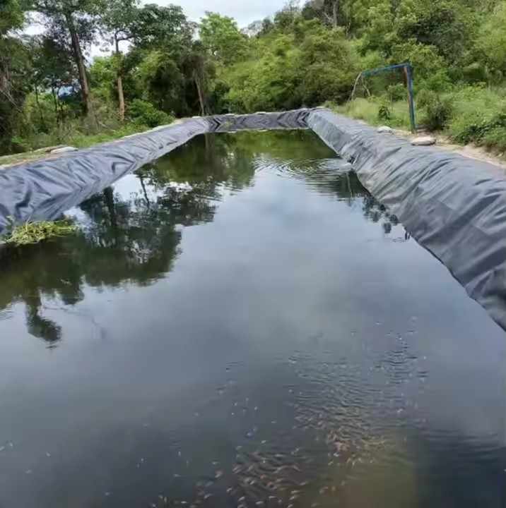 HDPE LDPE Polyethylene Sheet Waterproof Membrane Aquaculture Geomembrane 1mm 15mm 1.5mm Plastic Pond Lined Shrimp for Sale