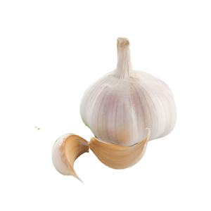 Ail Frais en Gros : Ail Frais en Vrac à Prix d'Usine, Exportation Directe vers Tous les <span class=keywords><strong>Pays</strong></span> Africains - Product Image 3
