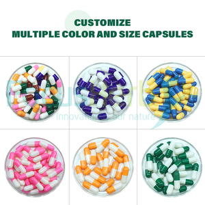 FocusHerb OEM Santé Féminine 6 en 1 Capsules Supplément d'organes de bœuf nourri à l'herbe - Product Image 6