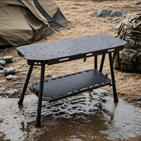 Table de camping pliante en alliage d'aluminium pour l'extérieur, moderne, multifonctionnelle, avec rangement portable, table de skateboard, noircie, pour pique-nique