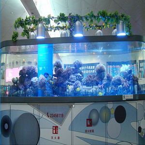 Penjualan langsung dari pabrik semua jenis akuarium kaca putih kustom 5 in 1 tangki ikan kaca - Product Image 5