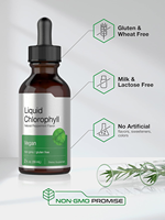 Supplément de gouttes de chlorophylle de marque privée OEM pour le soutien immunitaire et énergétique