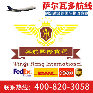 Wing Aviation, Envío Internacional Exprés, UPS, DHL, FedEx, EMS, TNT, Puerta a Puerta, Despacho de Aduanas, Europa, Amazon, eBay - Product Image 4