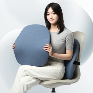 Lianda BC-039 Nhà Máy OEM ODM Tùy Chỉnh Trở Lại Hỗ Trợ Bộ Nhớ Bọt Thắt Lưng Đệm Cho Đau Lưng - Product Image 1