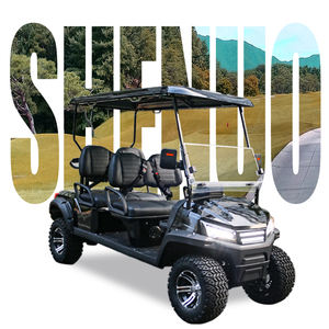 Chariot de golf à essence haute performance Fabricant de voiturettes de golf à essence pour 4 + 2 personnes - Product Image 1