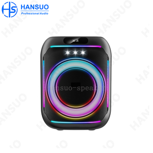 Hansuo HS-TS0663-A Giá Tốt Nhất Hộp Loa 6.5 Inch 40W Nhỏ Xách Tay <span class=keywords><strong>Karaoke</strong></span> Người Chơi Dj Hệ Thống Cho <span class=keywords><strong>Karaoke</strong></span> Hệ Thống Rạp Chiếu Phim Gia Đình - Product Image 2