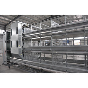 Nouvel équipement automatique Hengyin 2026, personnalisé, facile à nettoyer, cage à poulets de type A/H en treillis métallique en acier galvanisé, haute productivité - Product Image 4