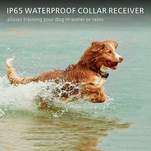Coleira elétrica de cães com som, aparelho vibratório, ultrassônico, com luz de led, 4 modos, para treinamento de cães, com coleira de abelha remota - Product Image 6