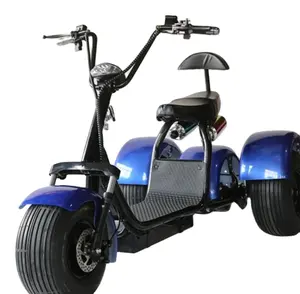 大人のための完全な生産ライン2000w3輪脂肪電気三輪車citycocoスクーター