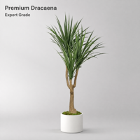 Plante artificielle Dracaena Anita hautement réaliste avec tronc en bois naturel |   Arbre artificiel style nordique pour la décoration de bureau moderne