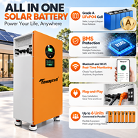 Système solaire hors réseau Tewaycell 16 kWh 5 kW avec onduleur, stockage solaire tout-en-un, équilibrage actif, batterie LiFePO4 51,2 V 314 Ah, ESS domestique, WiFi