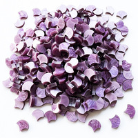 200G de mosaïques acryliques en forme d'écailles de dragon, mosaïques en forme d'éventail, mosaïques en forme d'écailles de poisson pour la décoration de la maison